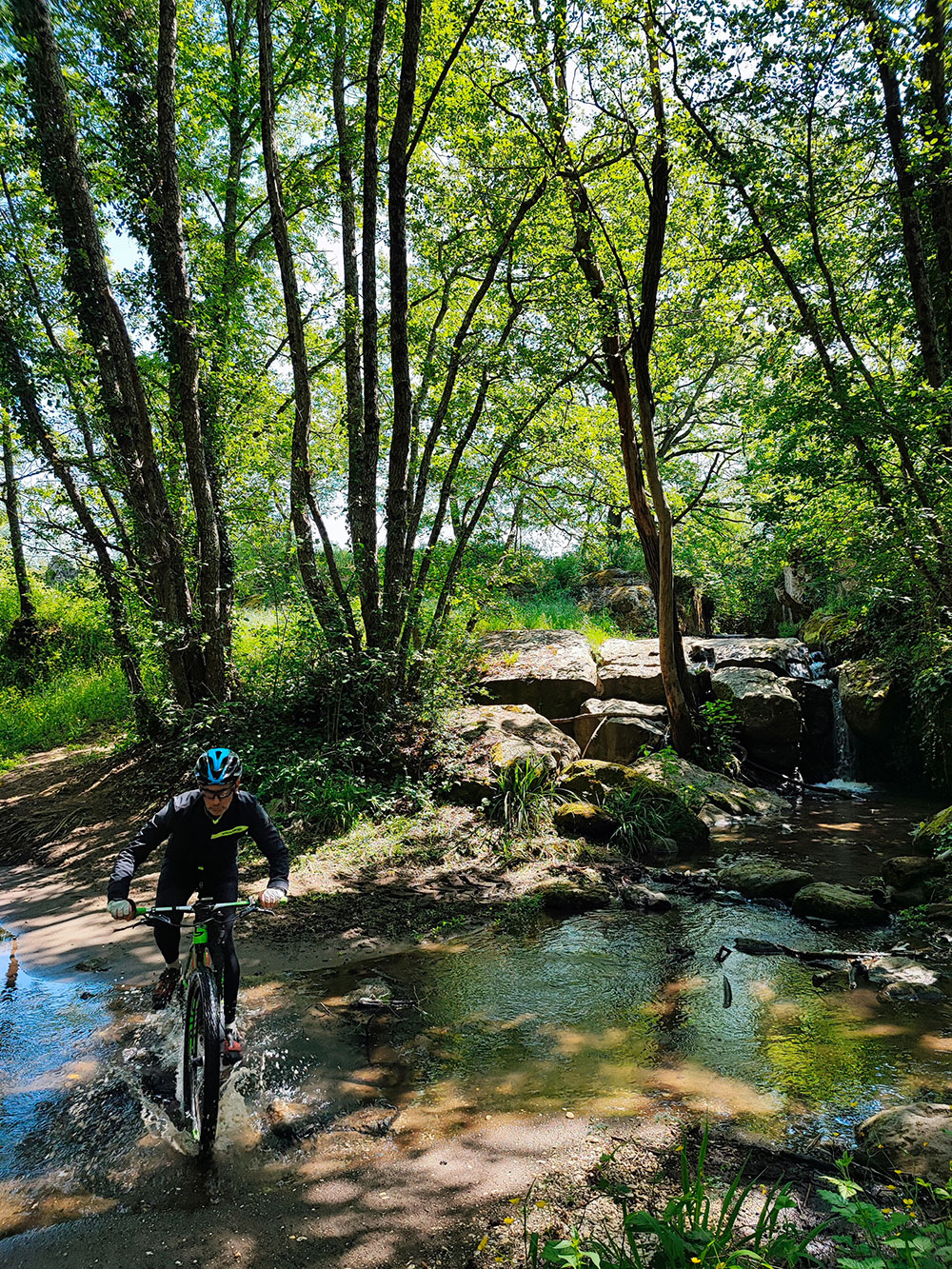 Ciclista durante un tour nel bosco