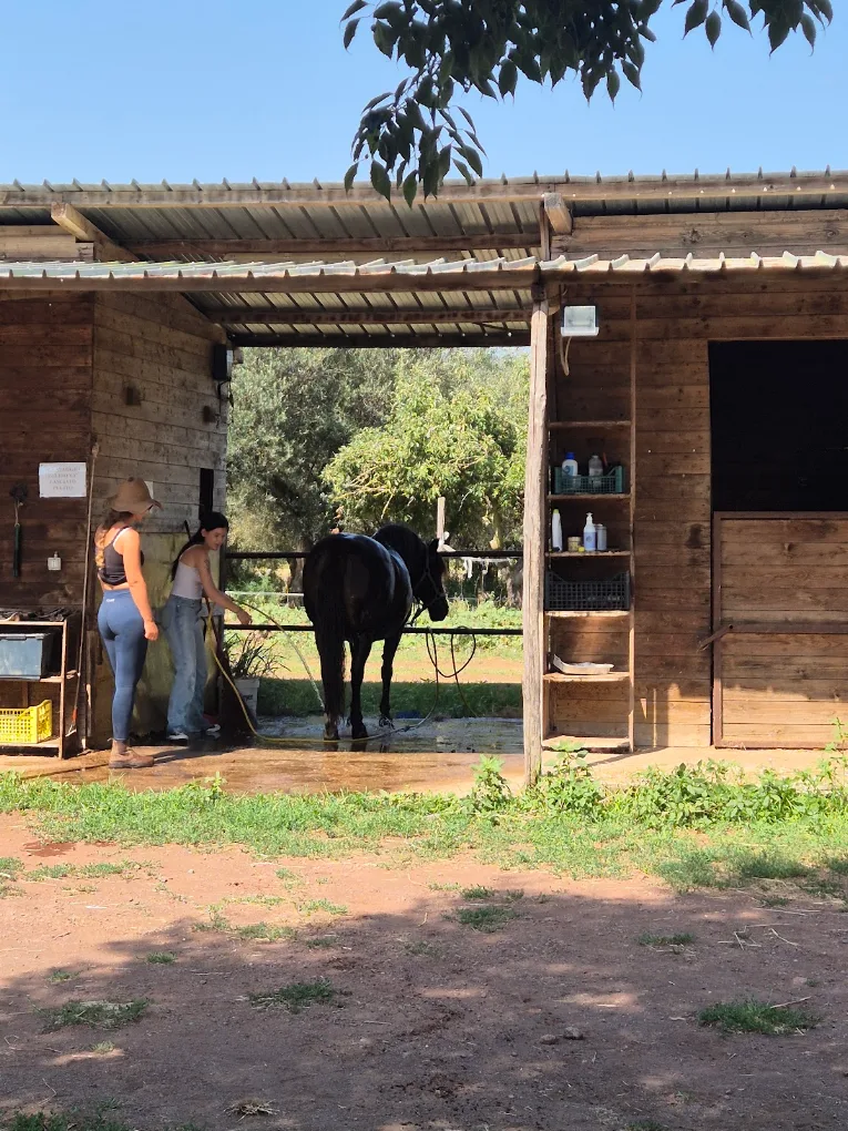 Preparazione del cavallo al Clan Club Val di Lago