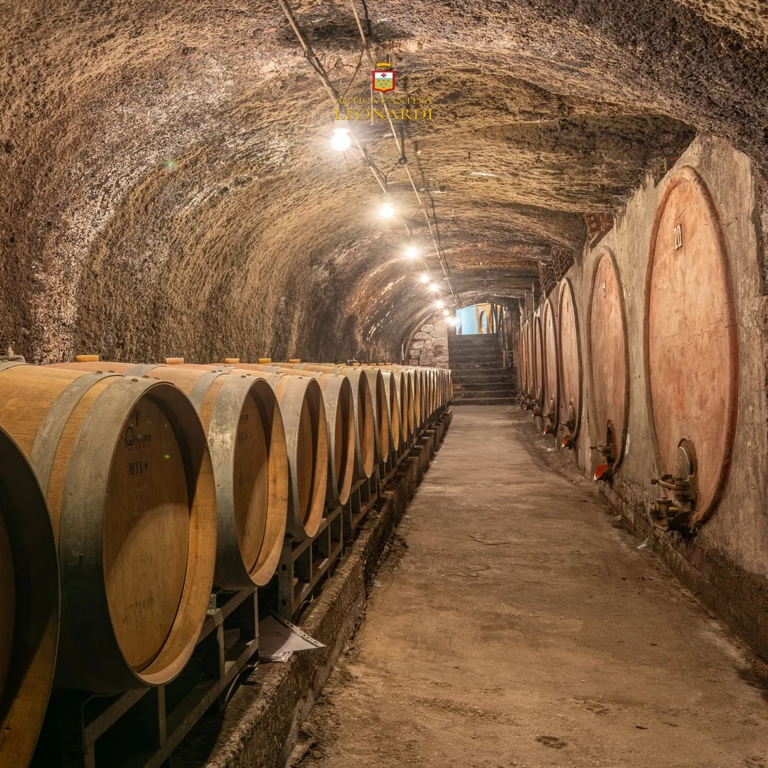Barrique nella cantina storica Leonardi