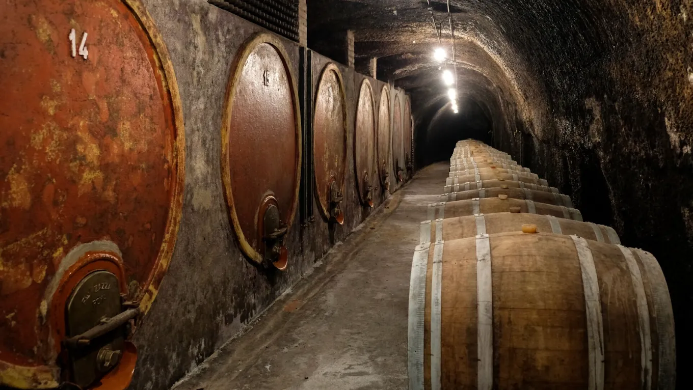 Botti storiche nella cantina sotterranea Leonardi