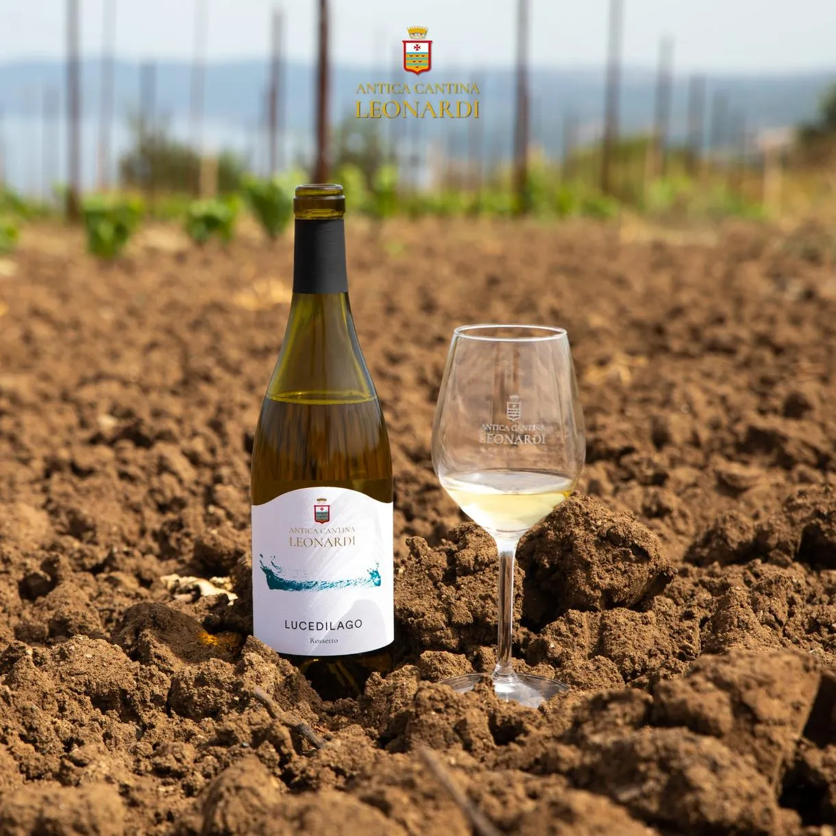 Vino Leonardi nel terreno vulcanico del vigneto